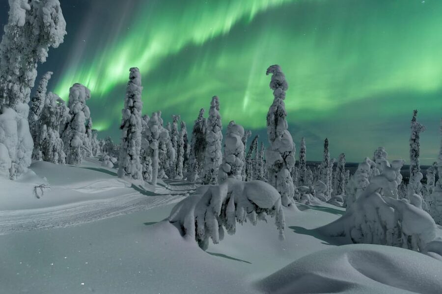 Northern Lights Hunting with Aurora Workshop - Key points to know before booking