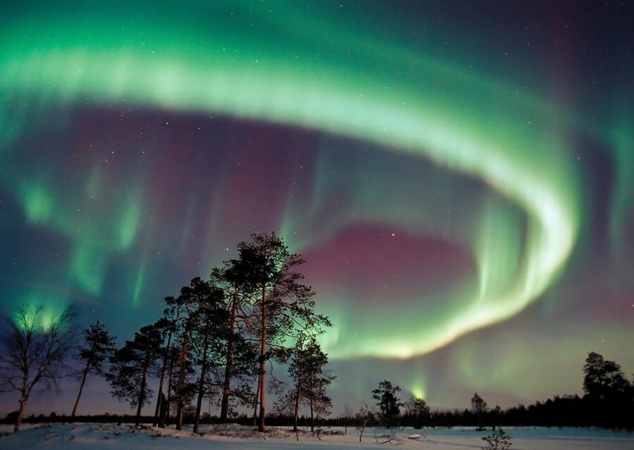 Northern Lights Hunting with Aurora Workshop - Heading into the Inari wilderness by minibus