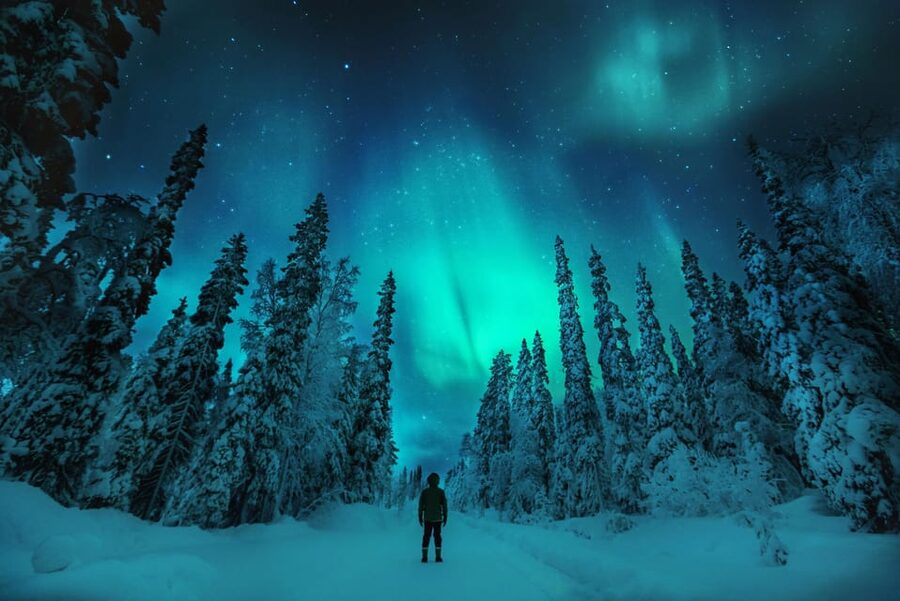 Northern Lights Hunting with Aurora Workshop - What the guides add to the evening