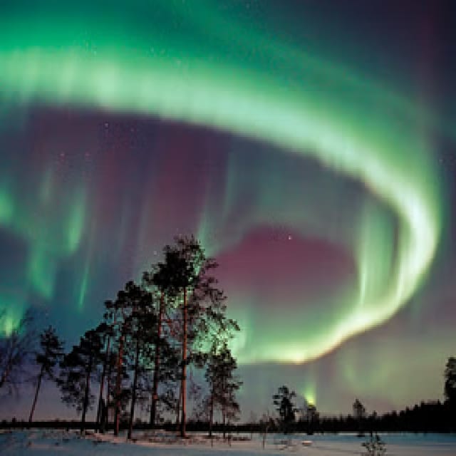 Northern Lights Hunting with Aurora Workshop - Is $199 a fair price?