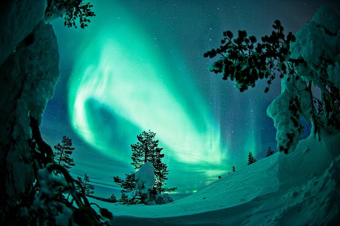 Northern Lights Photography Tour from Rovaniemi - Waiting under the northern sky