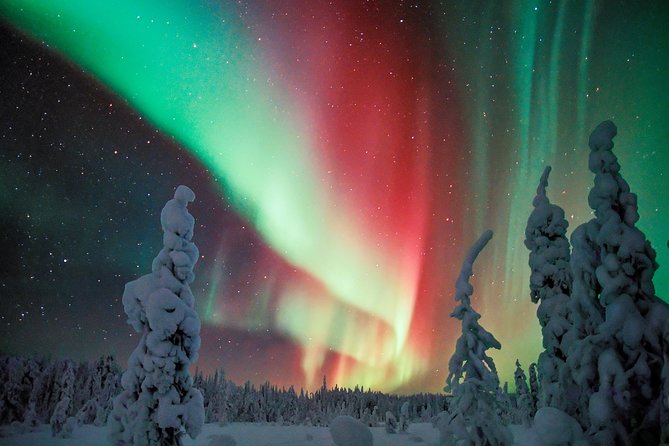 Northern Lights Photography Tour from Rovaniemi - Starting at Rovakatu 26 with winter gear