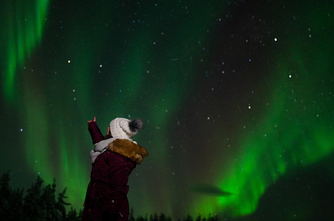 Northern Lights Reindeer Sledge Ride - Meeting a herder beside the campfire