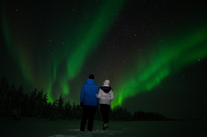 Northern Lights Reindeer Sledge Ride - How the value compares with the $128 price