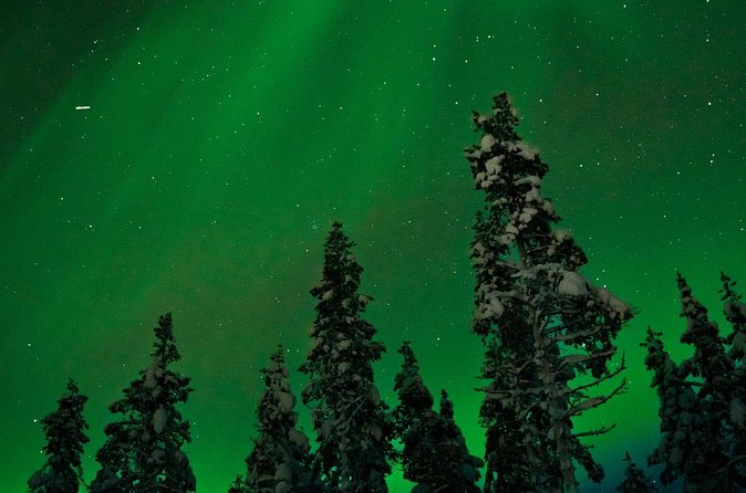 Northern Lights Reindeer Sledge Ride - Should you book the Northern Lights Reindeer Sledge Ride?