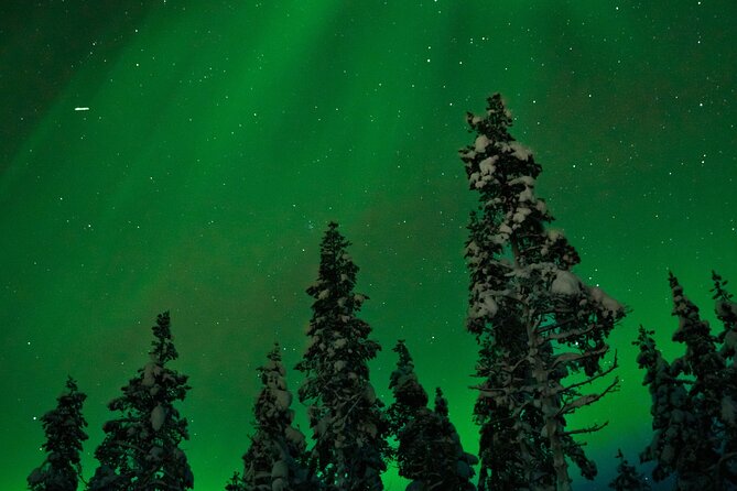 Northern Lights Reindeer Sledge Ride - The reindeer sleigh ride through snowy Lapland