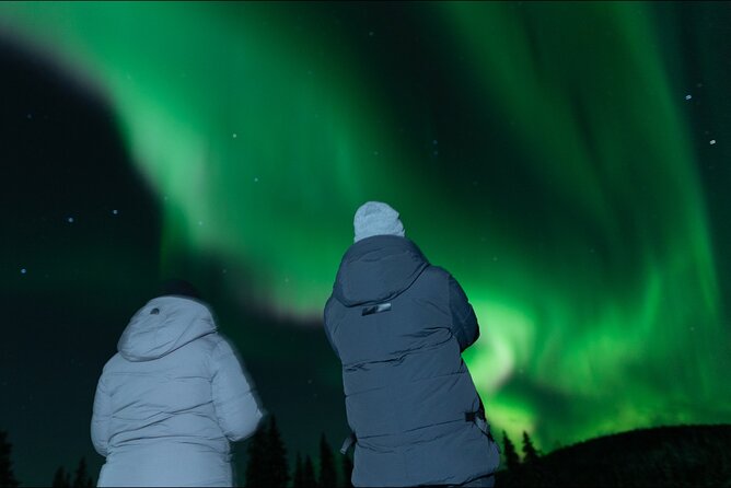 Northern Lights Rovaniemi: Guaranteed Tour with Local Guide - Key points before you book