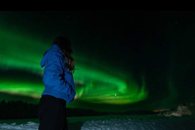 Northern Lights Rovaniemi: Guaranteed Tour with Local Guide - Chasing the Aurora from Rovaniemi at 6:30 pm