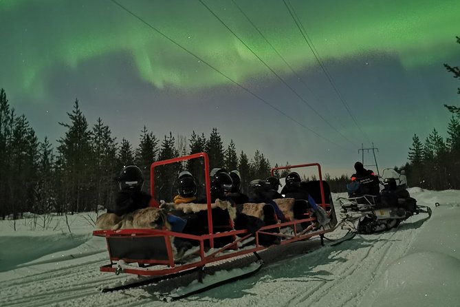 Northern Lights Sledge Ride - Key points to know before booking