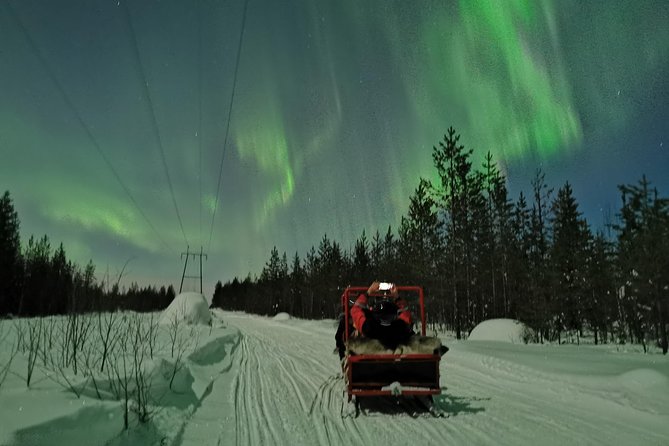 Northern Lights Sledge Ride - Searching for the Northern Lights