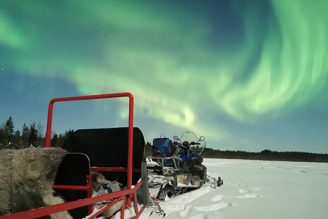 Northern Lights Sledge Ride - Campfire, hot juice, and a pause in the forest