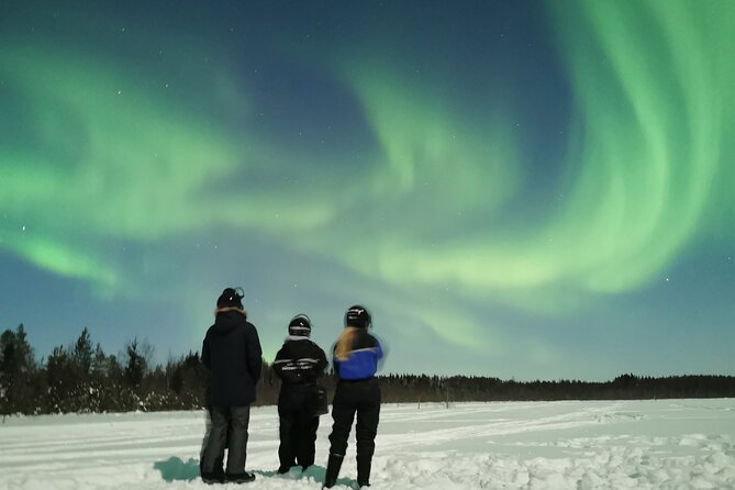 Northern Lights Sledge Ride - How good is the value at $92.52?