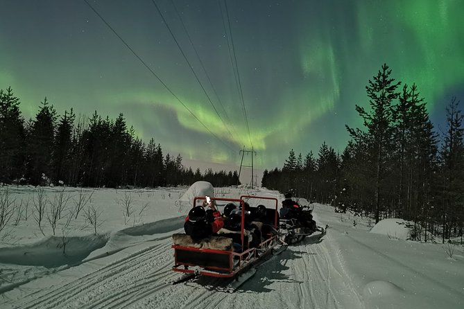 Northern Lights Sledge Ride - Who will enjoy this sledge ride most?