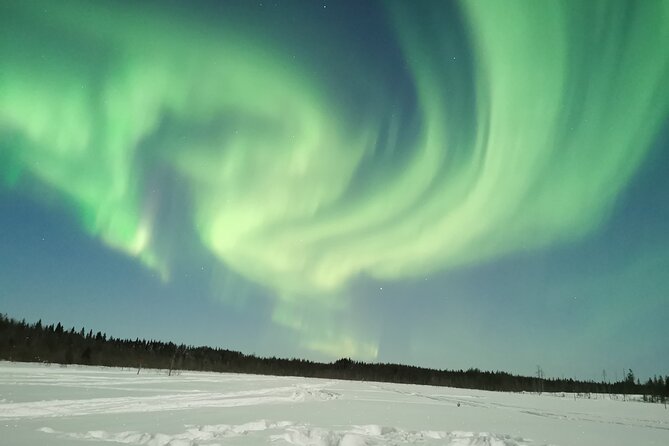 Northern Lights Sledge Ride - Practical choices that improve the night