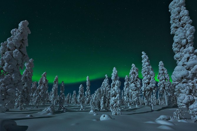 Northern Lights Snowmobile Safari from Rovaniemi with Campfire Picnic - Leaving Rovaniemi at 7 p.m.
