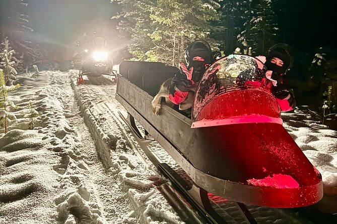 Northern Lights Tour Sleigh Ride - Key Points Before You Book