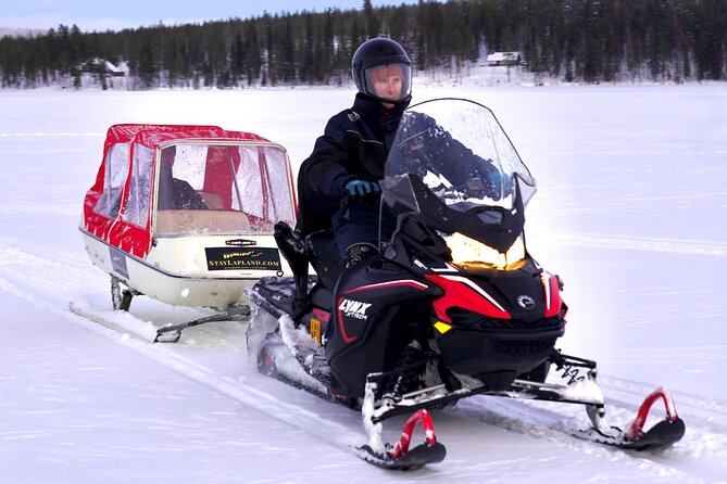 Northern Lights Tour Sleigh Ride - Setting Out From Rovaniemi at 7:00 p.m.