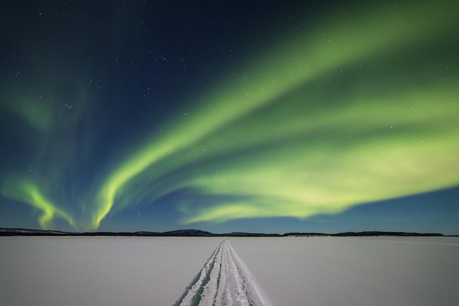 Northern lights tour to Lake Inari from Ivalo, Reindeers & Dinner - Key points before you book