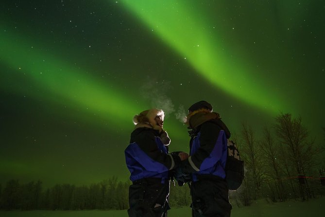 Northern lights tour to Lake Inari from Ivalo, Reindeers & Dinner - Who should book this Ivalo experience?
