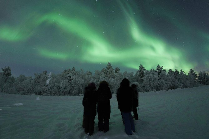 Northern Lights Tour with BBQ and drinks - Booking and cancellation details to remember