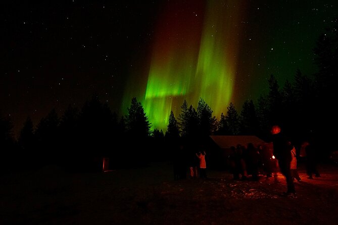 Northern Lights Trip to a Magical Place in Lapland - How the three to four hours may unfold