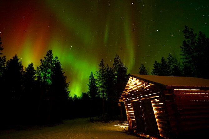 Northern Lights Trip to a Magical Place in Lapland - Is $119.09 per person fair value?