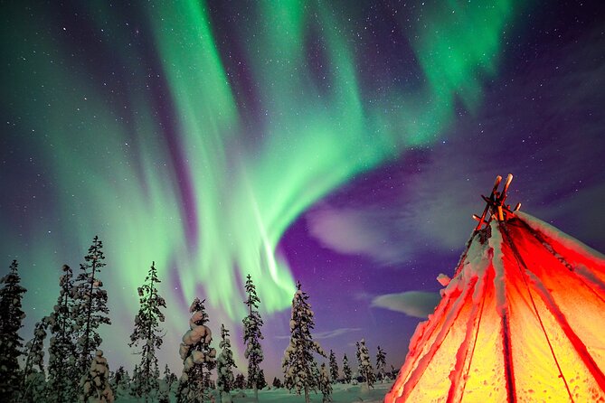 Northern Lights Wilderness Small-Group Tour from Rovaniemi - Quick facts about the Rovaniemi Aurora hunt