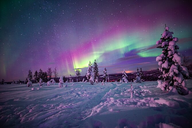 Northern Lights Wilderness Small-Group Tour from Rovaniemi - Campfire food makes a bad Aurora night better