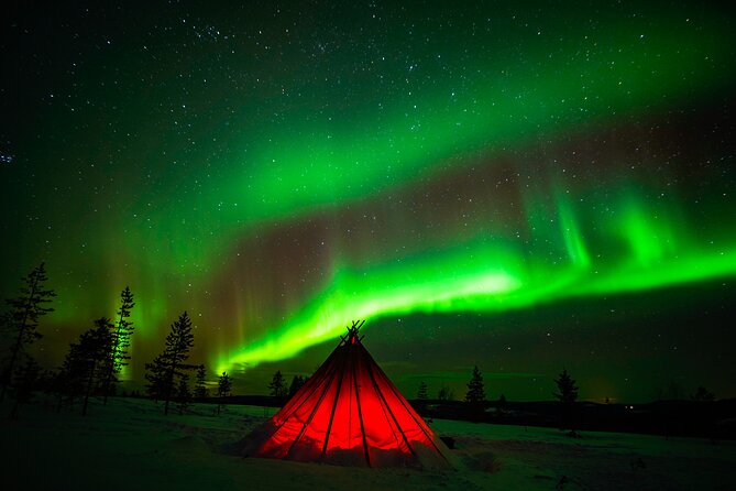 Northern Lights Wilderness Small-Group Tour from Rovaniemi - What happens with the included photographs