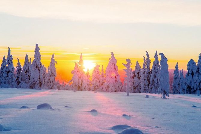 Ounasvaara and Ranua Zoo - Starting in central Rovaniemi at 10:30