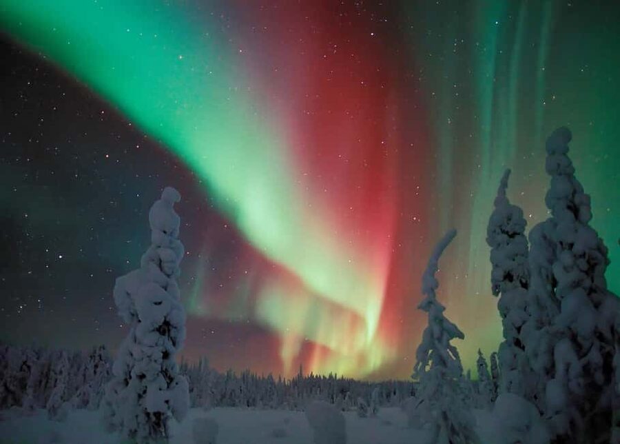 Polar Night Snowshoe Trek - Key points to know before you book
