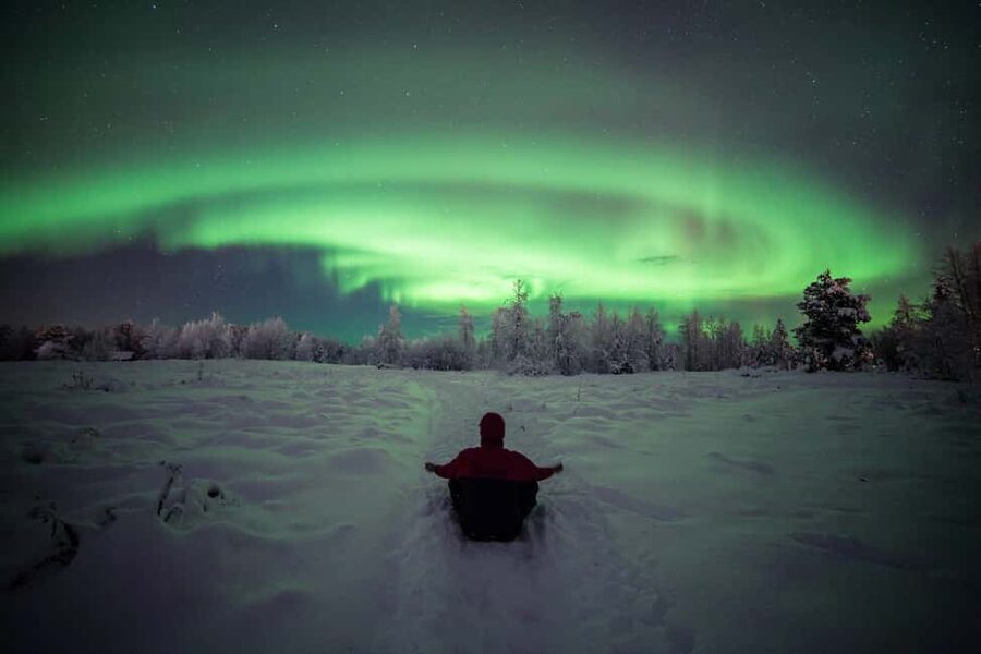 Polar Night Snowshoe Trek - Reading the snow for willow grouse and black grouse
