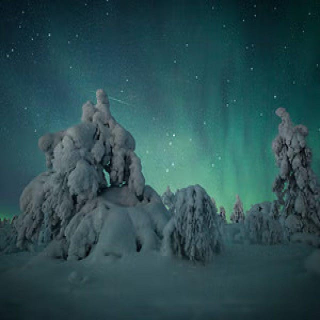 Polar Night Snowshoe Trek - Waiting for the Northern Lights