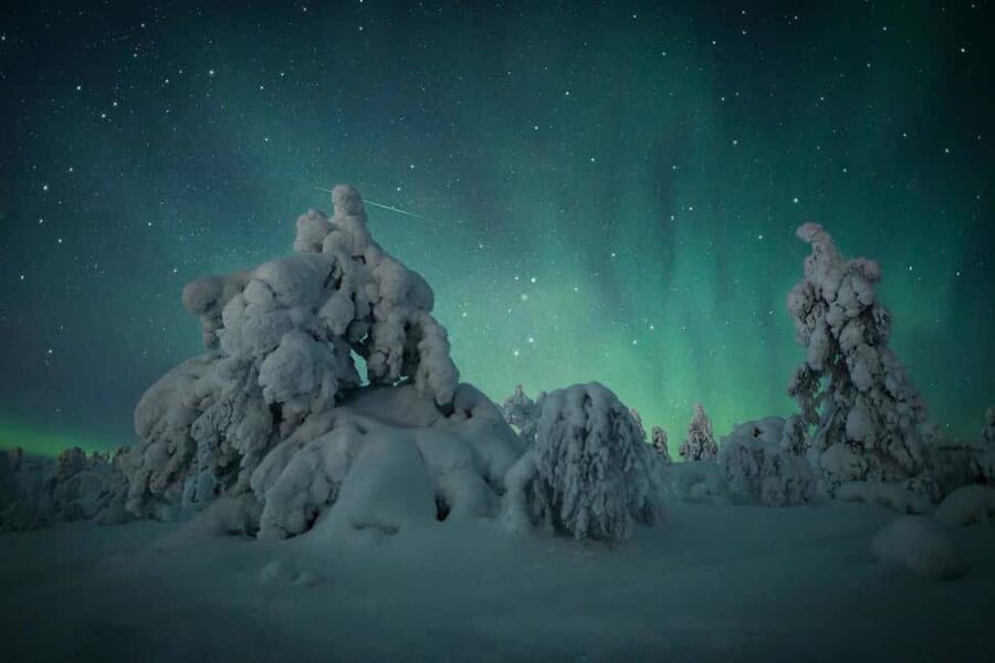 Polar Night Snowshoe Trek - Should you book the Polar Night Snowshoe Trek?