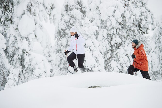 Premium Snowshoeing in Pyhä-Luosto National Park - Key points before you book