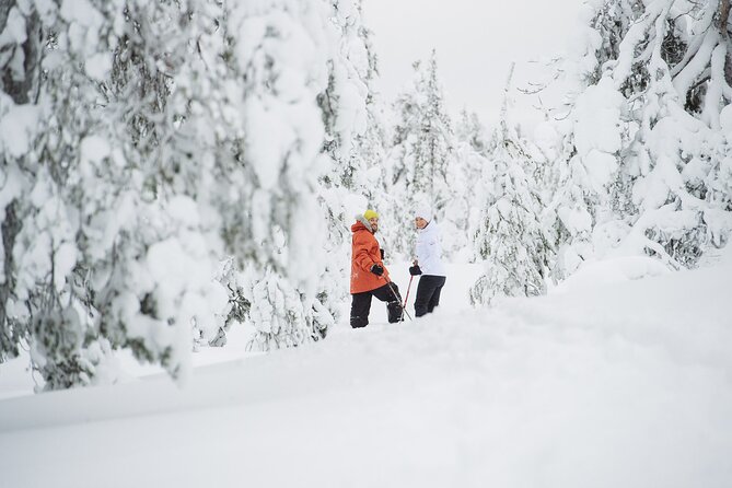 Premium Snowshoeing in Pyhä-Luosto National Park - Walking down into Pyhä-Luosto National Park