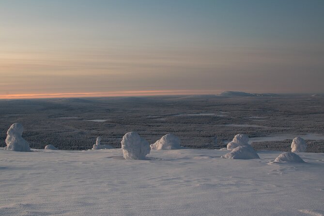 Premium Snowshoeing in Pyhä-Luosto National Park - The guides make the difference