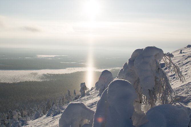 Premium Snowshoeing in Pyhä-Luosto National Park - Is $215.39 a fair price?