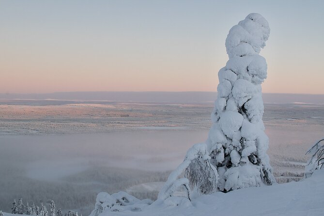 Premium Snowshoeing in Pyhä-Luosto National Park - Who will enjoy this snowshoe outing?