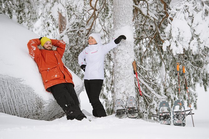 Premium Snowshoeing in Pyhä-Luosto National Park - Practical details before you go
