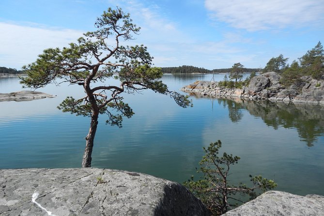 Private Boat Excursion into The Archipelago of Tammisaari - Wildlife watching without false promises