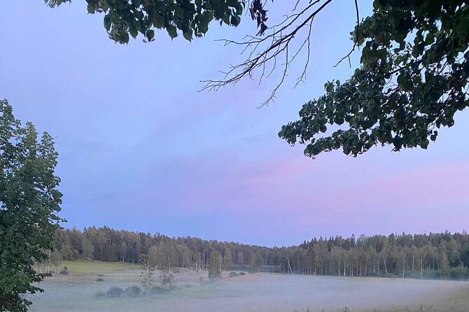 Private Day Road Trip from Helsinki: Raseborg, Fagervik, Porkkala - Who will enjoy this day most