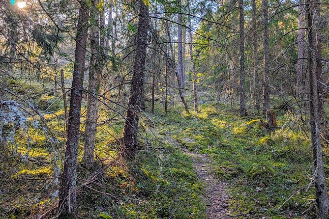 Private Day Road Trip from Helsinki: Raseborg, Fagervik, Porkkala - Fagervik Ironworks and a slower village walk
