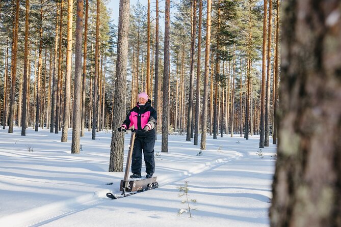 Private Driving Snow Scooters Experience in Finland - How the $102.25 price measures up