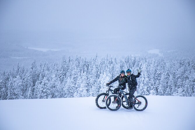 Private Electric Fat Bike Winter Tour in Rovaniemi - Key points before you book