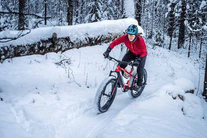 Private Electric Fat Bike Winter Tour in Rovaniemi - Why this ride is different from a normal Rovaniemi outing