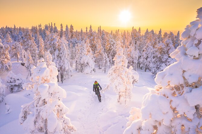 Private Electric Fat Bike Winter Tour in Rovaniemi - Meeting at Hostel Café Koti