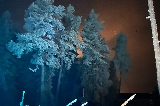 PRIVATE Glass Igloo Dinner Under Northern Lights - Booking, cancellation, and practical details