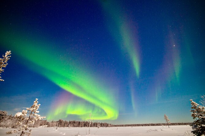Private Group: Northern Lights Hunt 4x4 SUV with Aurora guarantee - Key points to know before you book