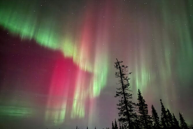 Private Group: Northern Lights Hunt 4x4 SUV with Aurora guarantee - What happens when the aurora finally appears